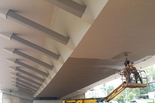 Anti Carbonation Paint